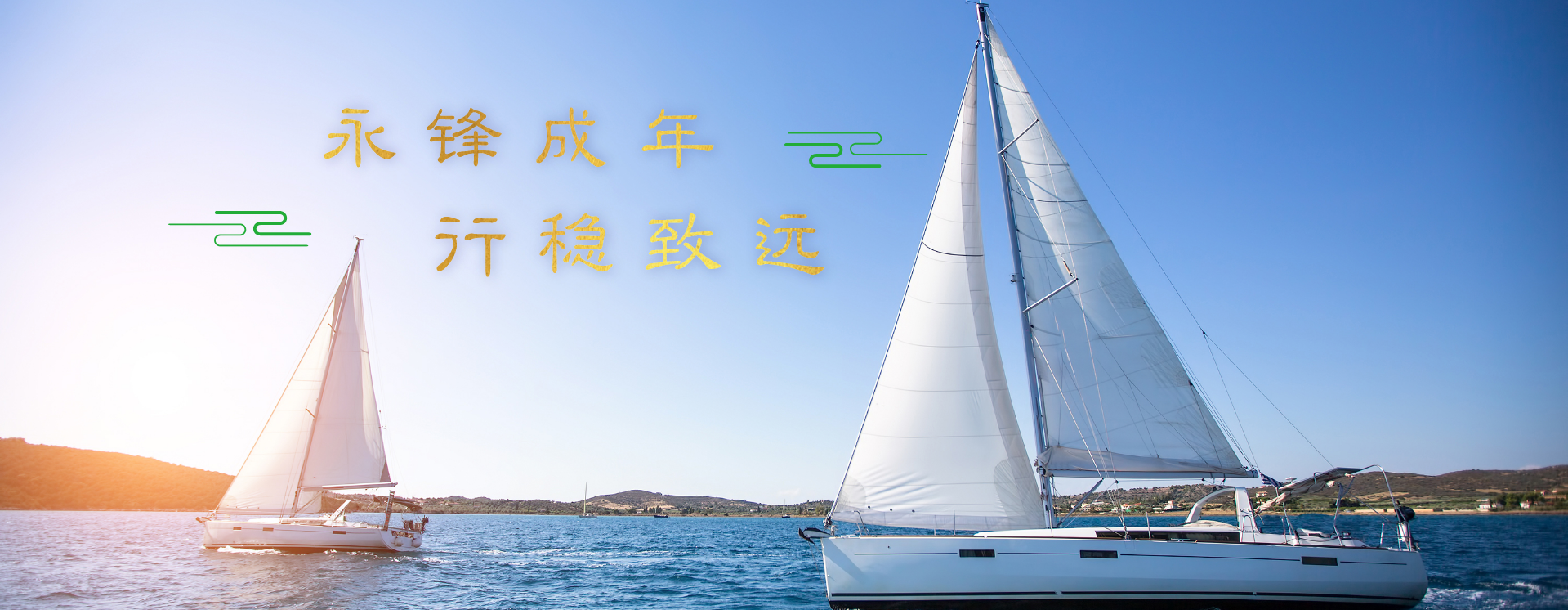 中國寶武鋼鐵集團黨委書記、董事長陳德榮來公司調(diào)研指導(dǎo)